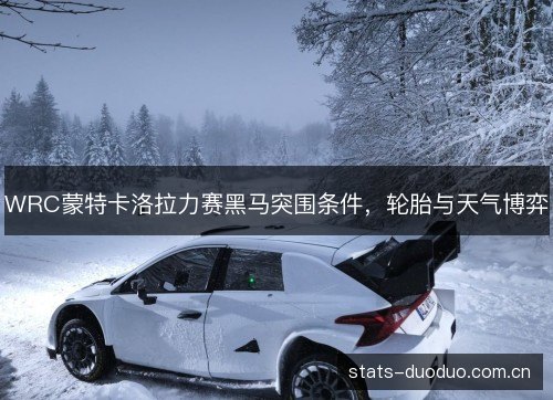 WRC蒙特卡洛拉力赛黑马突围条件，轮胎与天气博弈